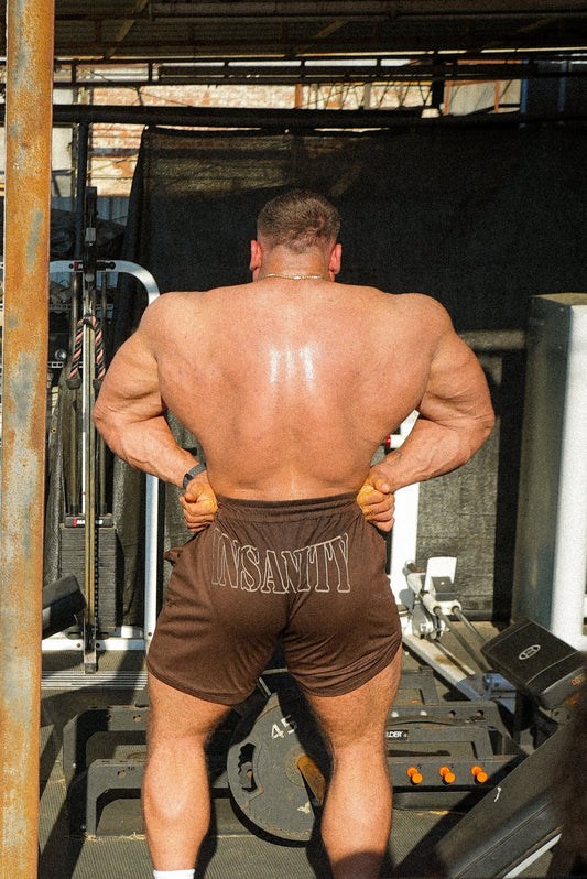 Mocha Brown Mesh 3.5" Seam Shorts