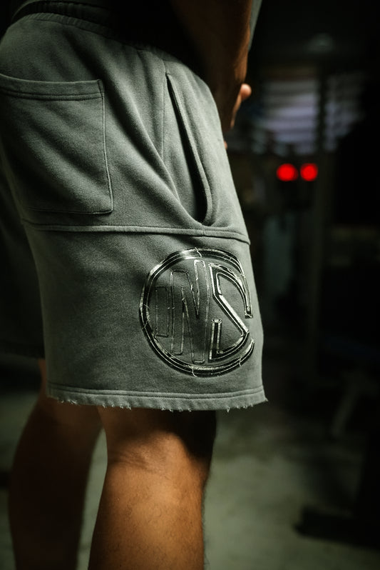 Acid Gray Stone Washed Shorts