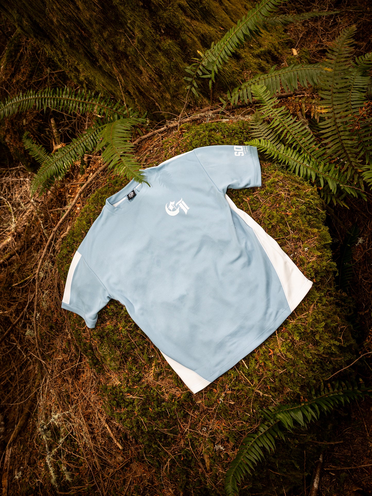 Carve Frost Blue Jersey