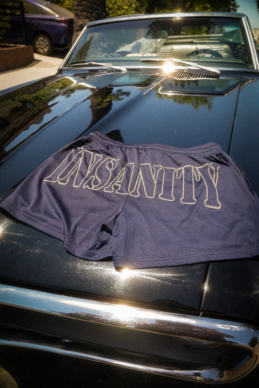Navy Blue Mesh 3.5" Seam Shorts