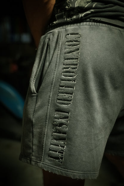 Acid Gray Stone Washed Shorts