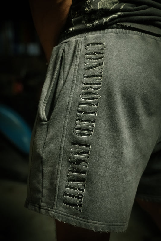 Acid Gray Stone Washed Shorts