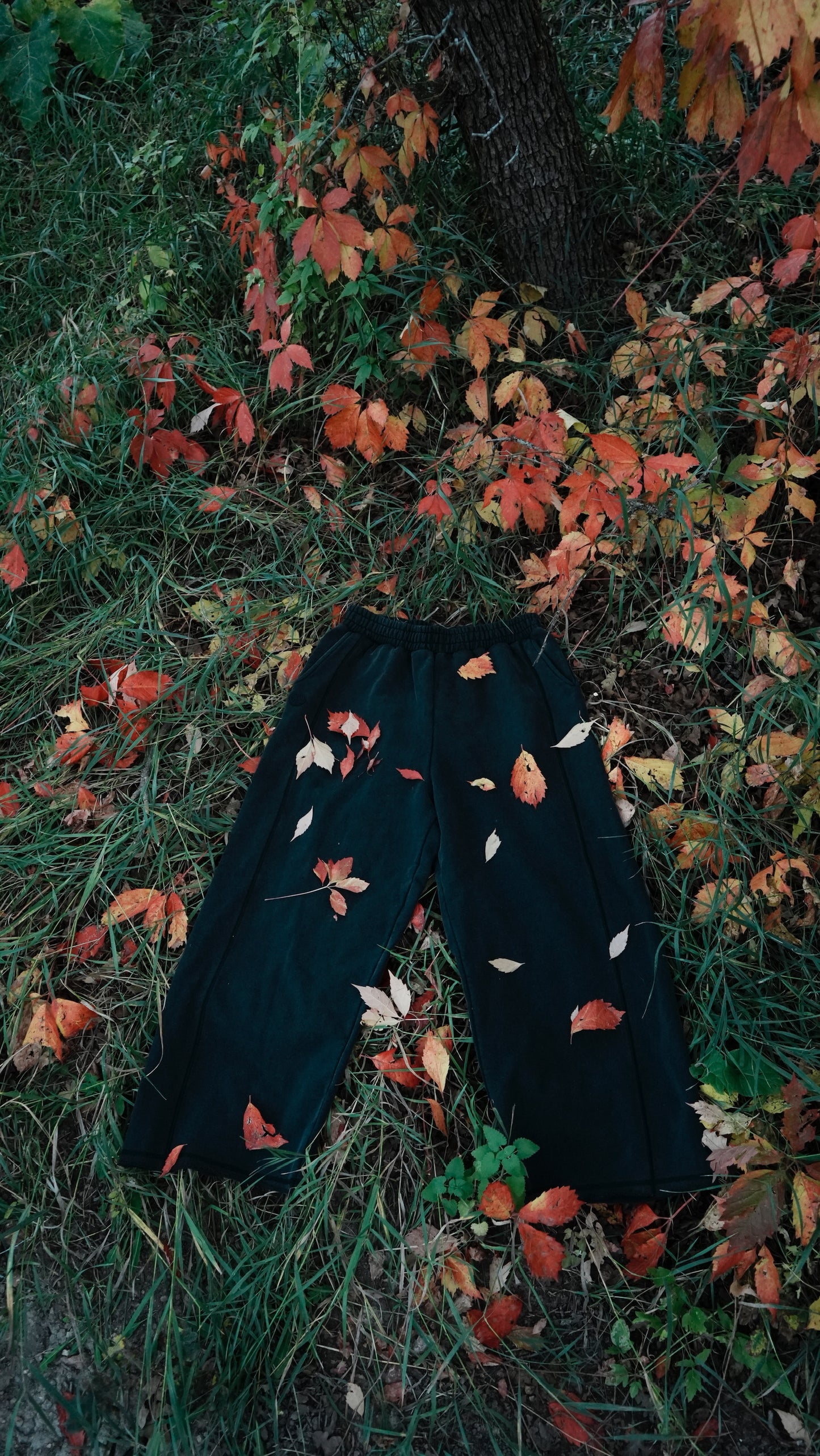 Black Neutral Sweats